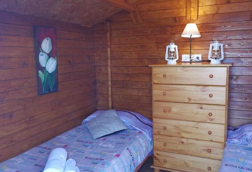 פנסיון Guest House Casa Tacoronte