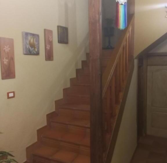 פנסיון Guest House Casa Tacoronte