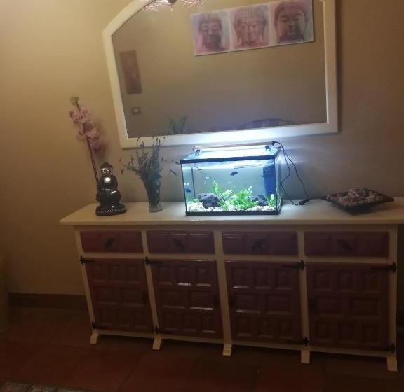 פנסיון Guest House Casa Tacoronte