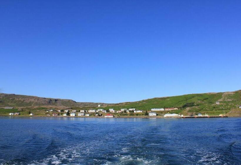 پانسیون Kriukot