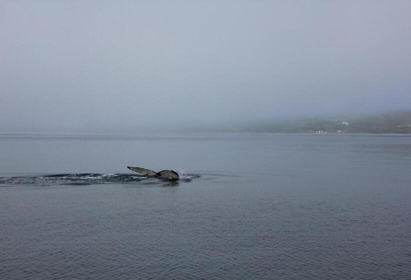 پانسیون Kriukot