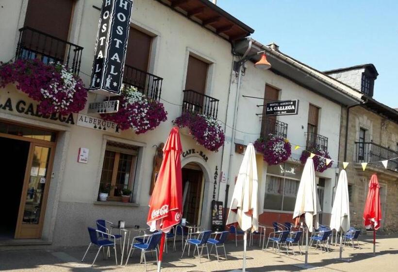 Пансион La Gallega