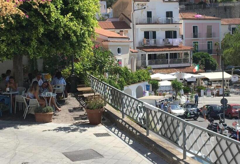 پانسیون La Racia