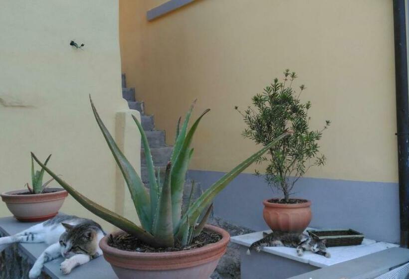 פנסיון La Stanzetta Viola