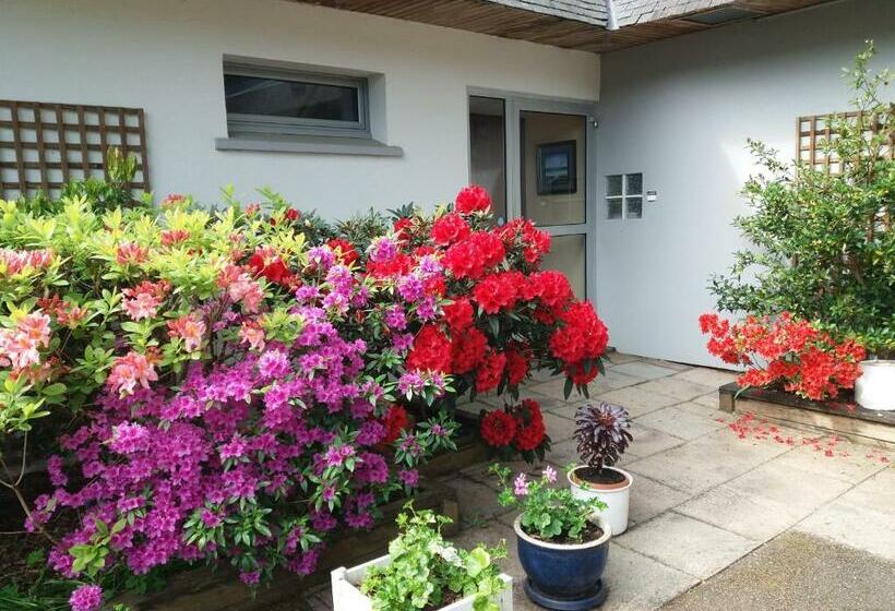 بنسيون La Vie Au Roze