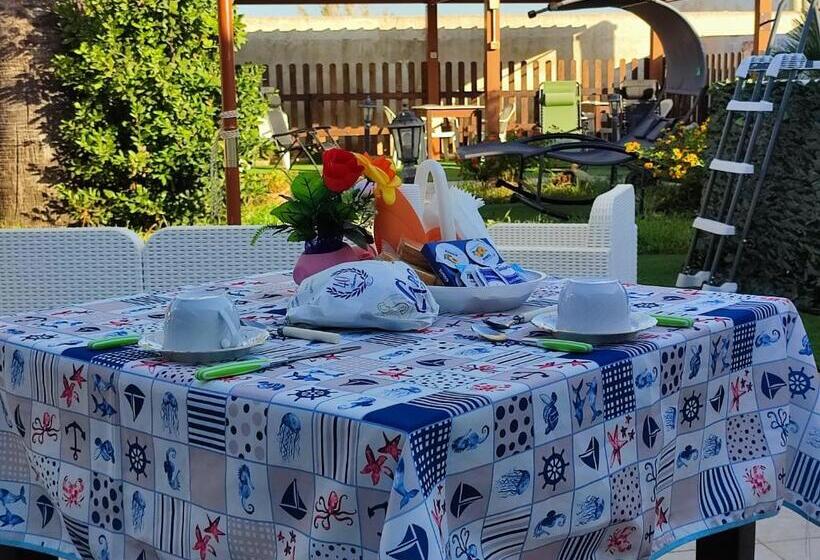 بنسيون Le Due Palme