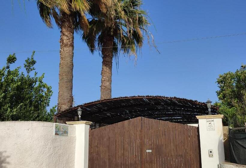 بنسيون Le Due Palme