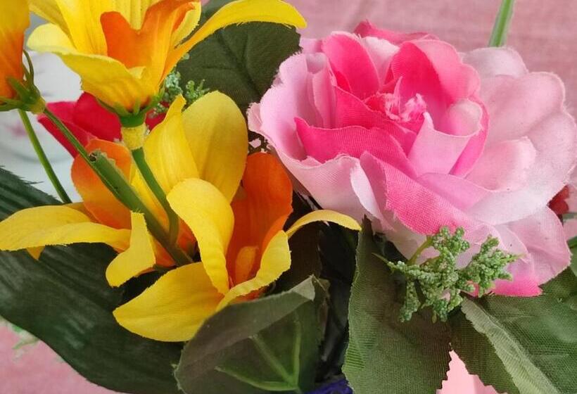 بنسيون Le Due Palme