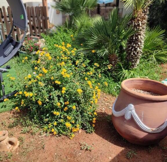 بنسيون Le Due Palme