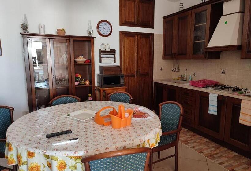 بنسيون Le Due Palme