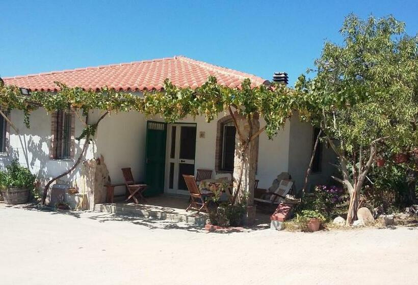 פנסיון Punteri