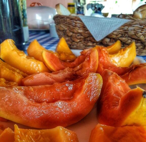 膳宿费 Sitio Toca Do Leao