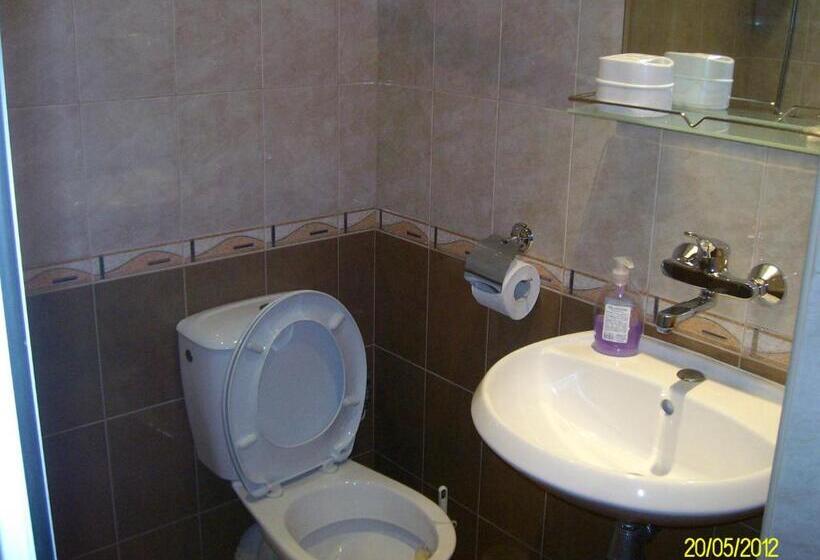 بنسيون Villa Irina