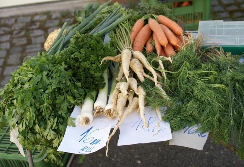 פנסיון Villa Letná