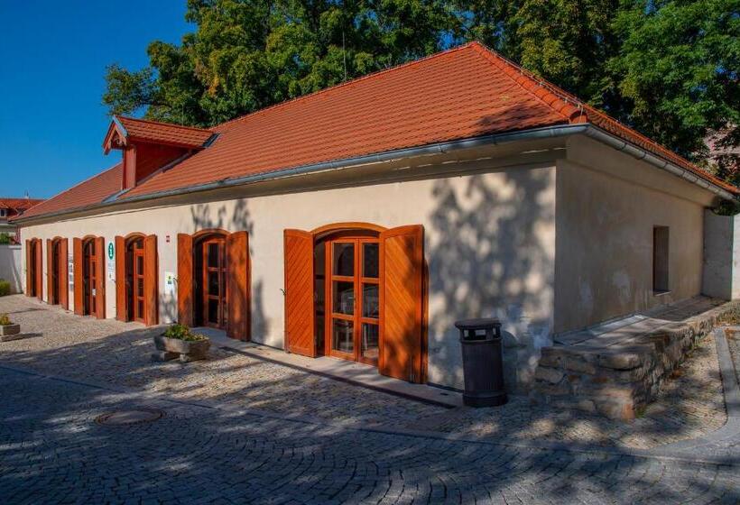 פנסיון Villa Letná