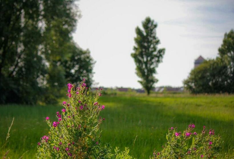 Ruiterhof B&b/hostel