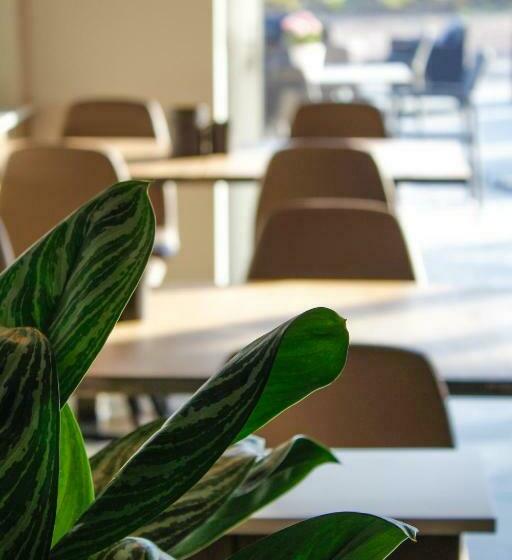 Ruiterhof B&b/hostel