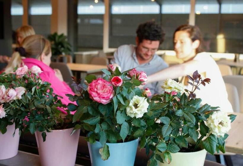 Ruiterhof B&b/hostel