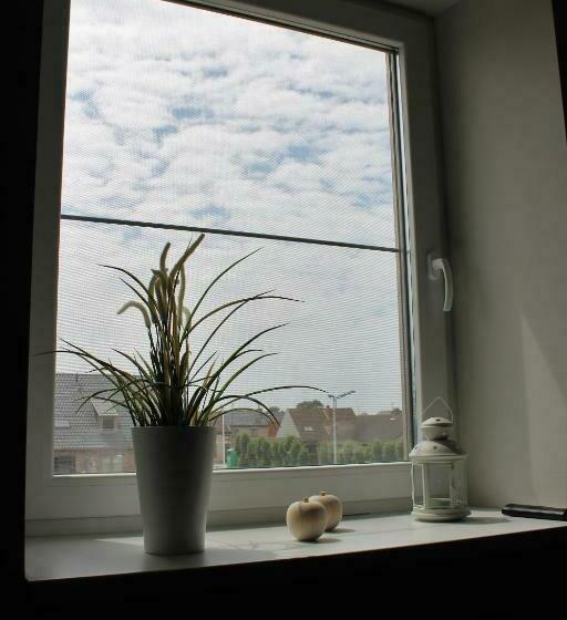 Ruiterhof B&b/hostel