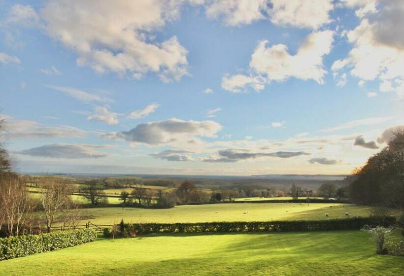 Seven Acre Corner B&b