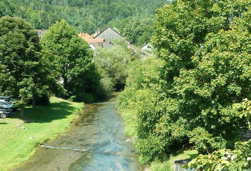 호스텔 Pension Alter Wirt