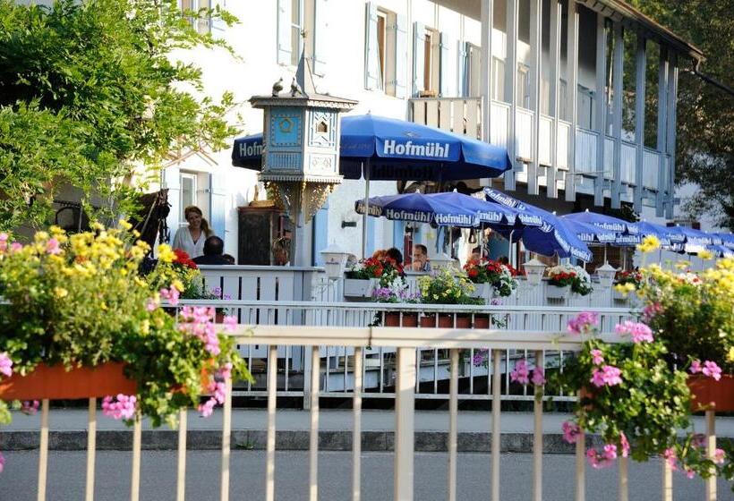 호스텔 Pension Alter Wirt