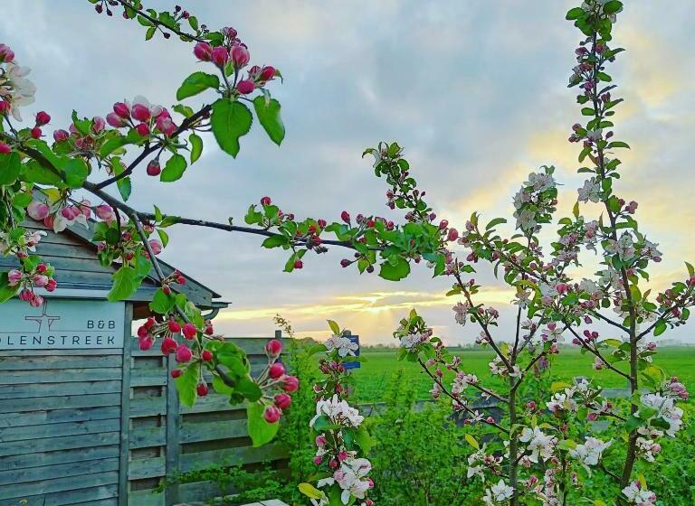 B&b Molenstreek