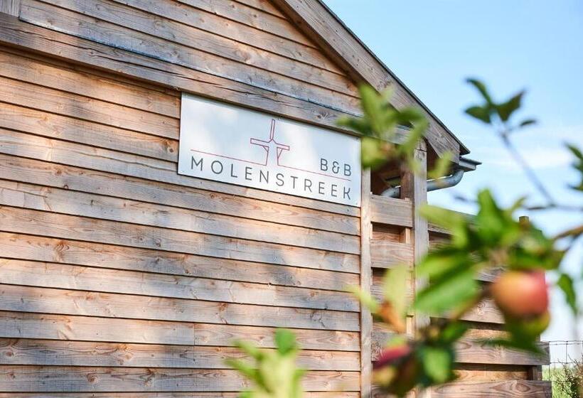 B&b Molenstreek