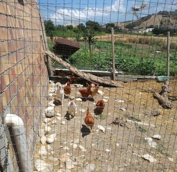 B&b Pozzo Innamorato