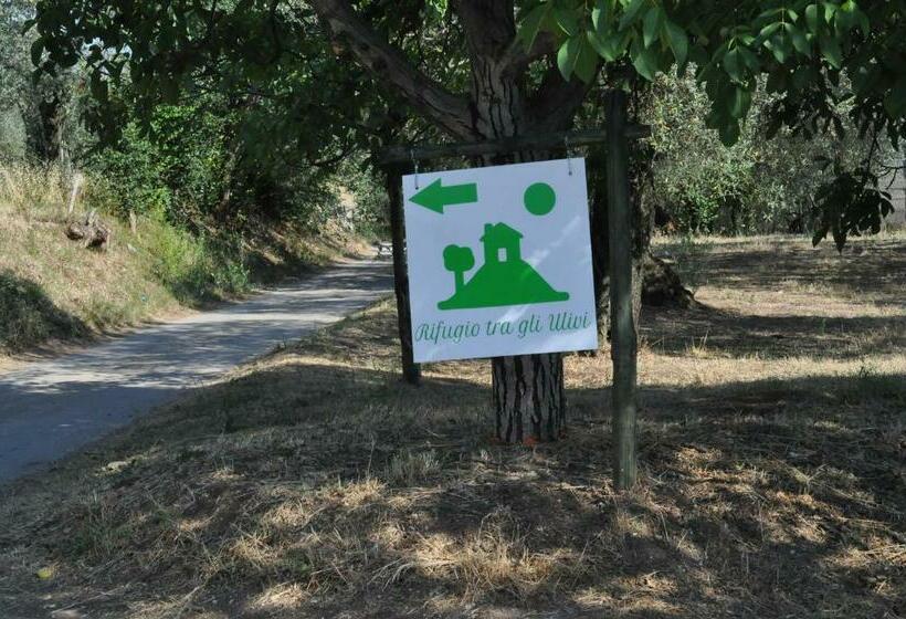 B&b Rifugio Tra Gli Ulivi