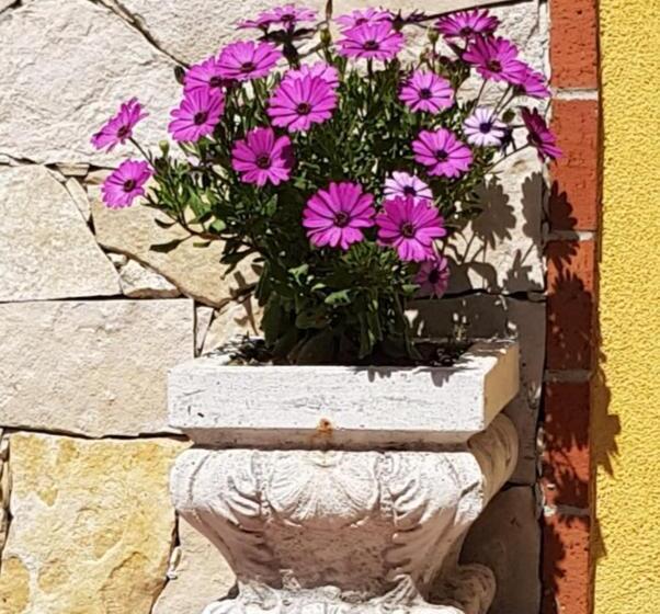 Bed and Breakfast Alcantara Natura Country House