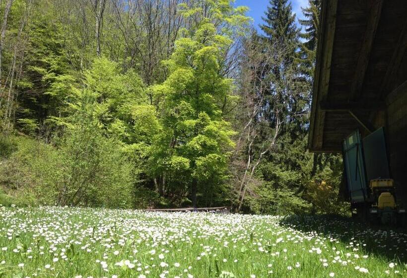 住宿加早餐 Chalet Ingas