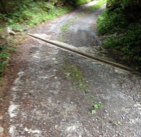 住宿加早餐 Chalet Ingas