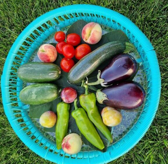 مبيت وإفطار La Dimora Dei Conti