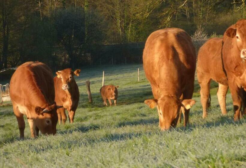 住宿加早餐 Le Vallon Des 5 Roses