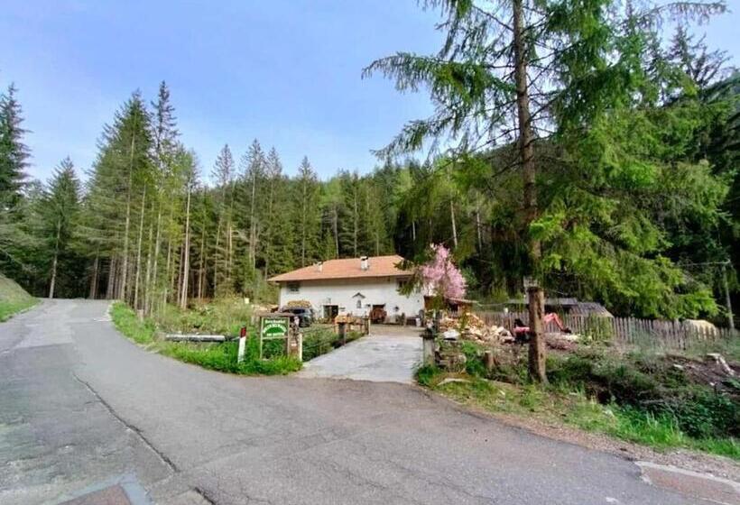 צימר Molindeimaghi