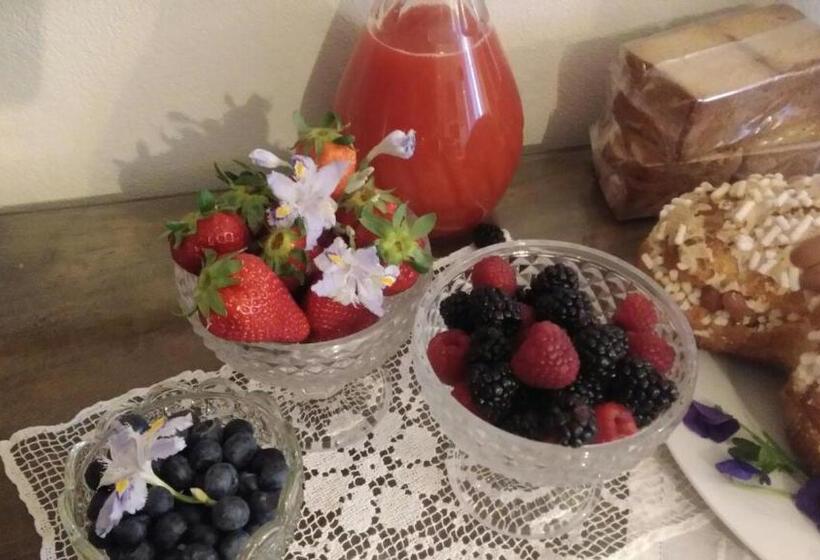 Bed And Breakfast Papillon