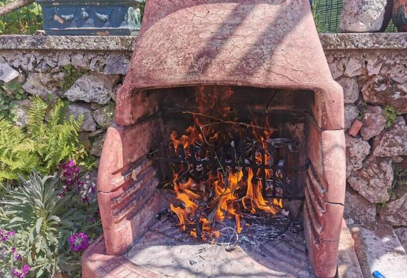 Bed and Breakfast Residence Eden