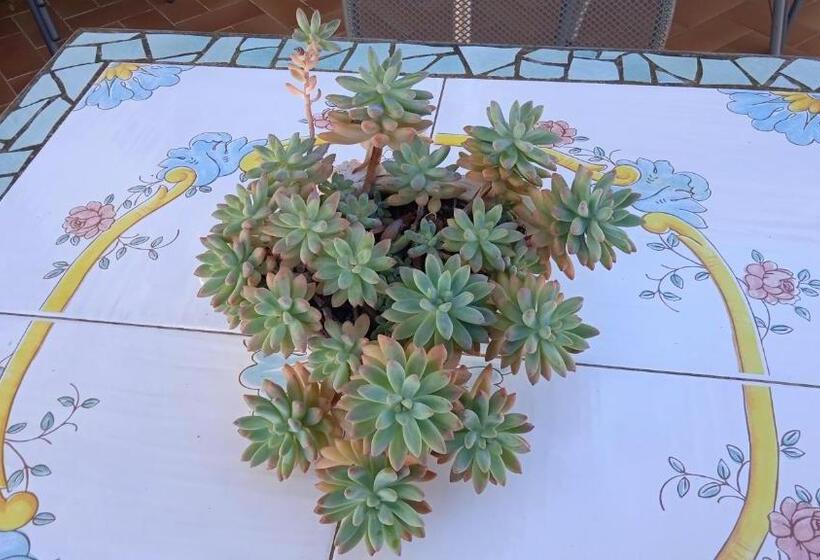 Bed and Breakfast Residence Eden