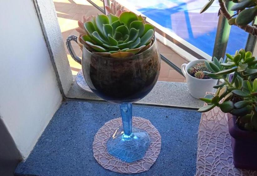 Bed and Breakfast Residence Eden