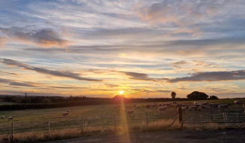 مبيت وإفطار The Shepherds Snug