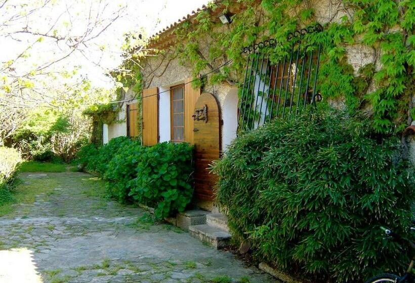 Bed and Breakfast Villa Roka