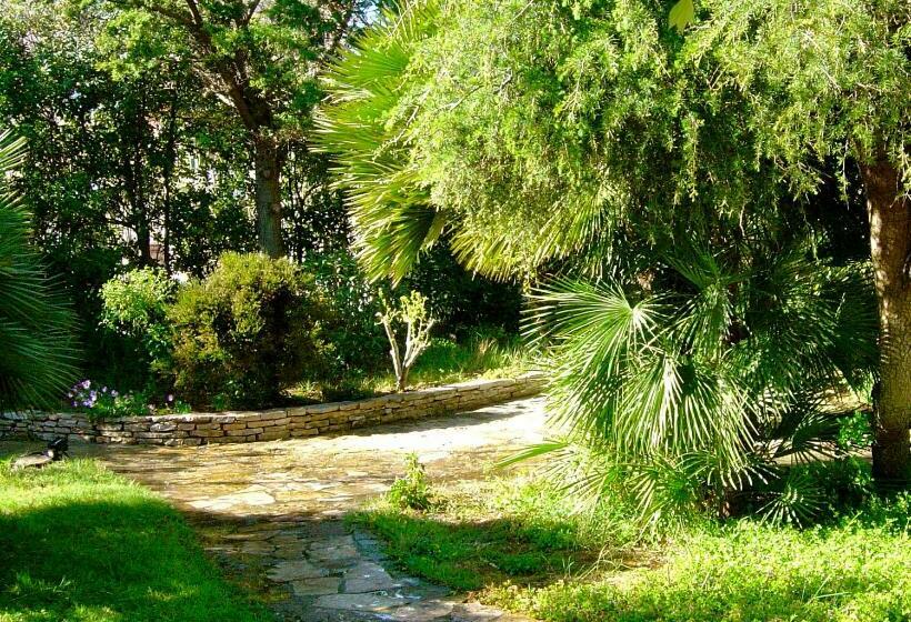 Bed and Breakfast Villa Roka