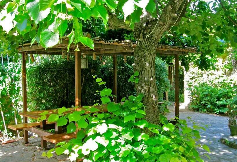 Bed and Breakfast Villa Roka