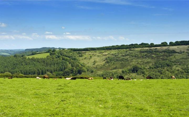 住宿加早餐  Zeal Farm