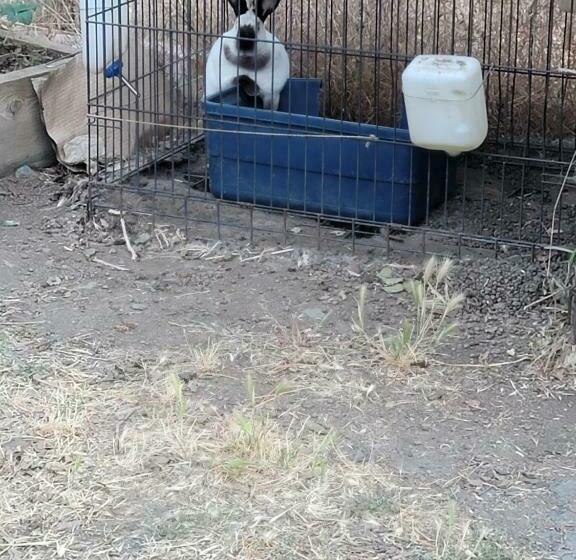 צימר Engvadonia Yosemite B And B