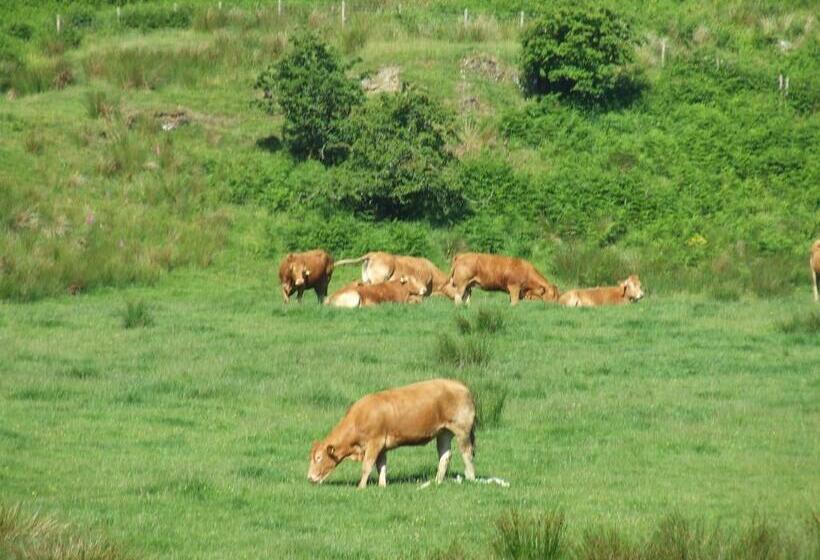 Garbhein Bed & Breakfast