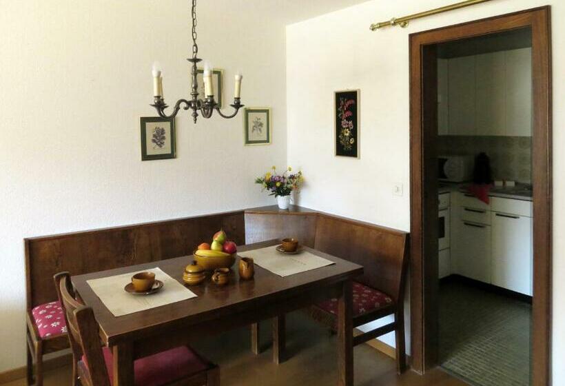 Holiday Accommodation   Swimming Pool Available