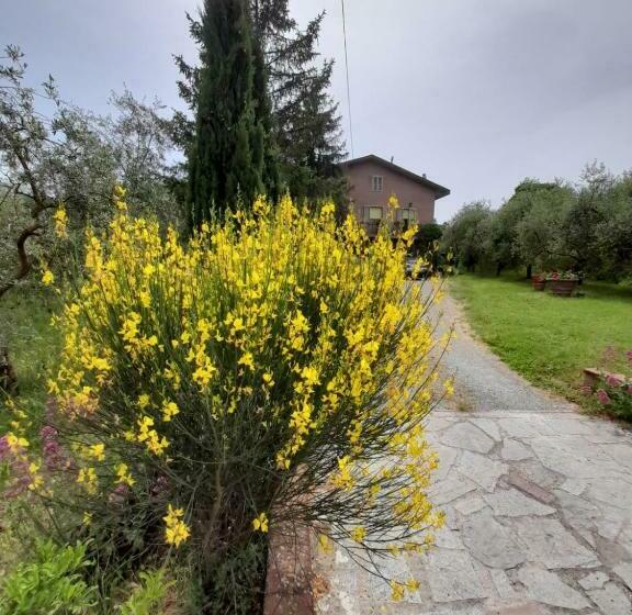 בית מלון כפרי Agriturismo Campo Contile