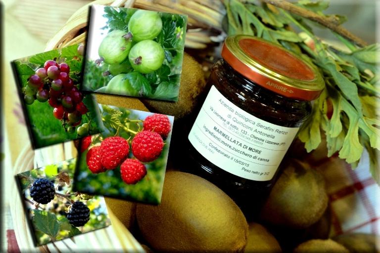 酒店 Agriturismo Podere Dei Kiwi